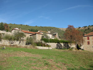 boeuf bio